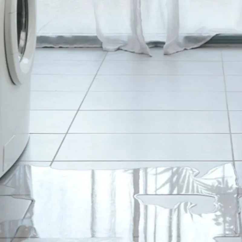 Appliance Leak Cleanup in Oak Lawn, IL