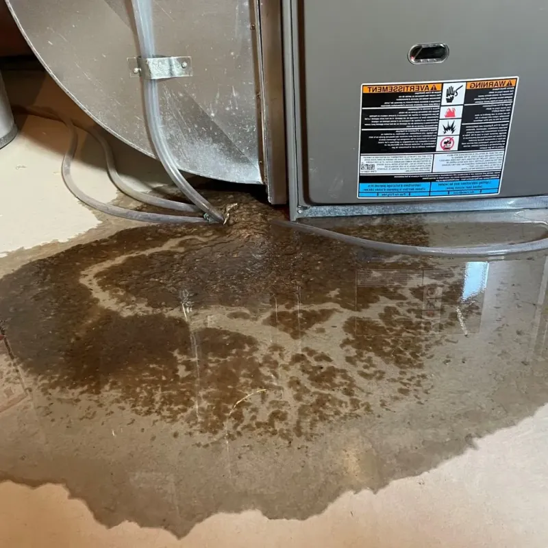 Pipe Burst and Leak Restoration in Oak Lawn, IL