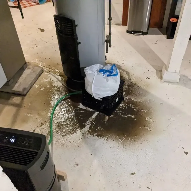 Sewage Backup Cleanup Service in Oak Lawn, IL